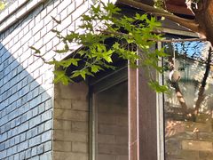 -VOYAGE COFFEE(杨梅竹店)