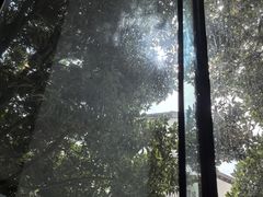 -星巴克(舟山蜈蚣峙店)