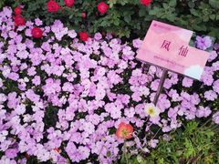 -人民公园(罗湖区)