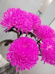 -妈妈时光机医疗产后修复(南山茂业百货店)