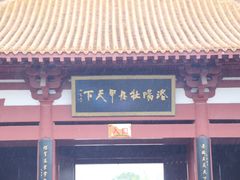 -神州牡丹园
