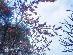 -晓港公园