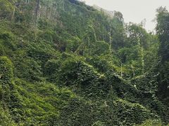 -重庆平顶山公园