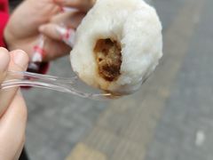 -登兴鱼丸