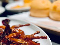 红烧乳鸽-炳胜品味(海印总店)