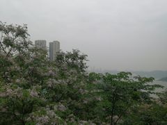 -大渡口区义渡公园