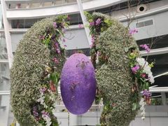 -深圳国际园林花卉博览园