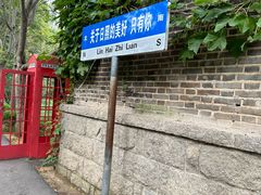 -日照海滨国家森林公园