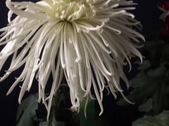 -白塘生态植物园