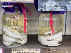 -国际通