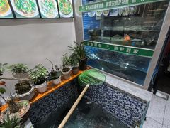 -全乐鱼馆·淳牌有机鱼直营店