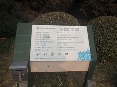 -北坞公园