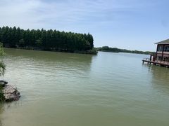 -苏州太湖国家湿地公园