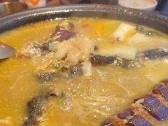 -探鱼·鲜青椒爽麻烤鱼(北京路天河城店)