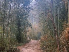 -莫干山风景区