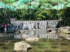 -石台牯牛降景区