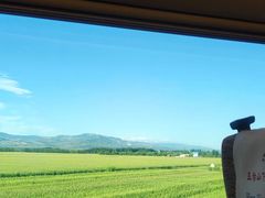 -麦当劳(新王府井店)