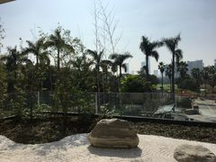 -棕榈泉国际高尔夫学院