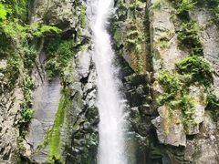 -溪口-滕头旅游景区