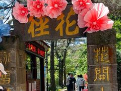 -庐山风景区花径公园