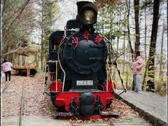 -五营红松林海景区