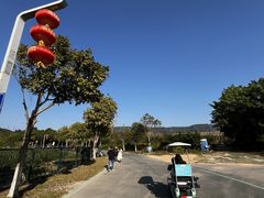 -光明小镇欢乐田园