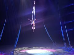 -水秀国际大剧院