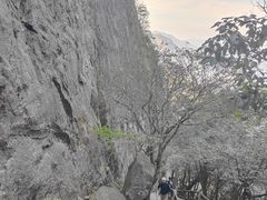 -萍乡武功山风景名胜区