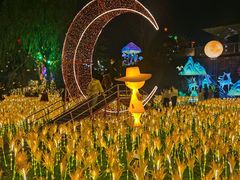 -国际非物质文化遗产博览园