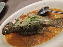 -扬州万怡酒店-中餐厅(文昌中路店)