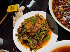 -陈麻婆豆腐总店