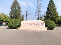 -微山湖红荷湿地景区