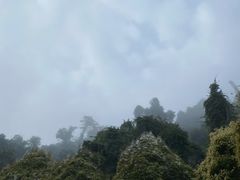 -野象谷景区