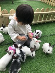 -萌宠亲子动物乐园(槐房万达店)