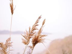 -亮河湾山庄
