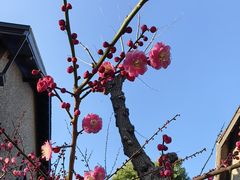 -思南公馆