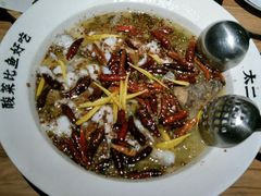 -太二酸菜鱼(汕头苏宁广场店)