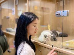 -屋虎猫馆(宝安大仟里店)