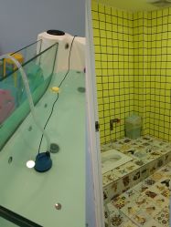 -香港3861婴幼儿游泳馆(东海商务中心店)