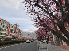 -南渝食府.石锅鸡(尚城花园店)