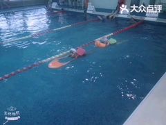 -鲨鱼游泳培训中心
