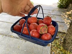 -自在弥林花园餐厅(云栖店)