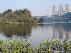 -重庆彩云湖湿地公园