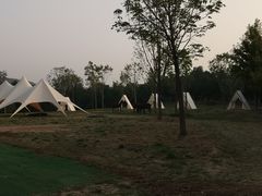 -北京西山国家森林公园