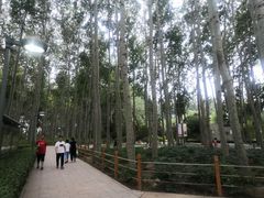 -仁和公园(顺义区)