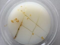 -三元梅园(永定路店)