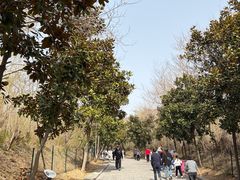 -圌山