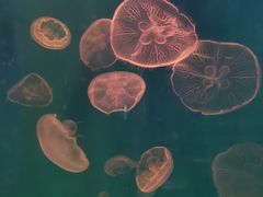 -石林冰雪海洋世界