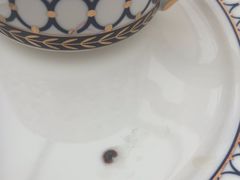 -Hi City·城市之巅