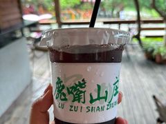 -鹿嘴山庄